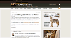 Desktop Screenshot of dpexperience.com
